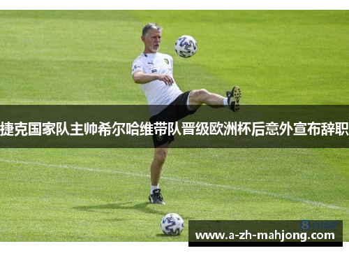 捷克国家队主帅希尔哈维带队晋级欧洲杯后意外宣布辞职 捷克国家队主帅希尔哈维带队晋级欧洲杯后意外宣布辞职